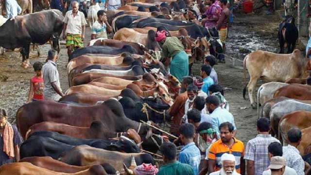 সড়কে বসানো যাবে না কোরবানির পশুর হাট