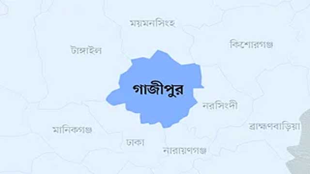 মায়ের আপত্তিতে হাইকোর্টে জামিন মেলেনি দুই সন্তানের