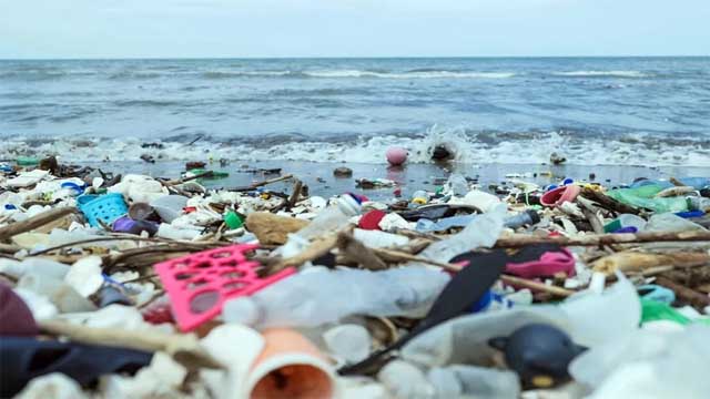 প্লাস্টিক দূষণে বছরে ১ লাখ সামুদ্রিক প্রাণীর মৃত্যু