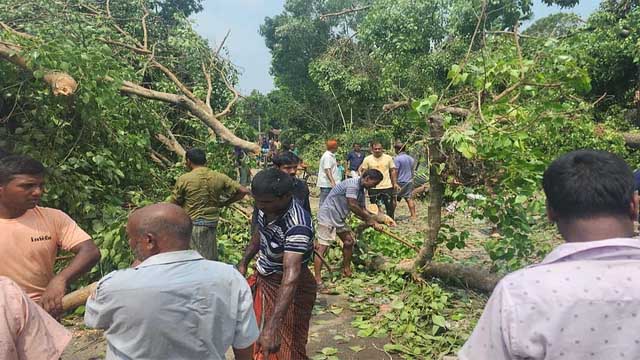 বাঘায় হঠাৎ ঝড়ে দুজনের মৃত্যু, ভোটের আনন্দের বদলে বিষাদ