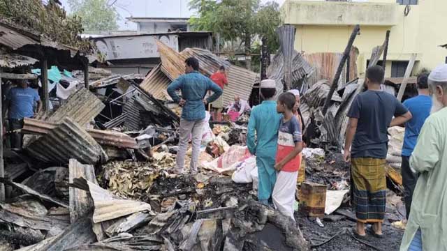 জীবননগরে ভয়াবহ আগুনে পুড়ল ১১ দোকান