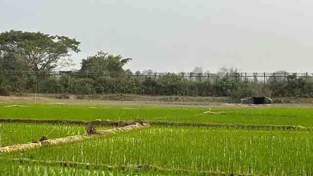 উখিয়া সীমান্তে রাতে আবার গোলাগুলির শব্দ, ঘুমধুম সীমান্ত শান্ত