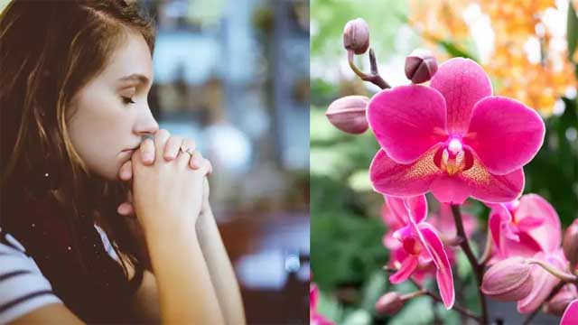 যেভাবে ধৈর্যই বদলে দিতে পারে আপনার জীবন!গবেষকের বর্ণনা