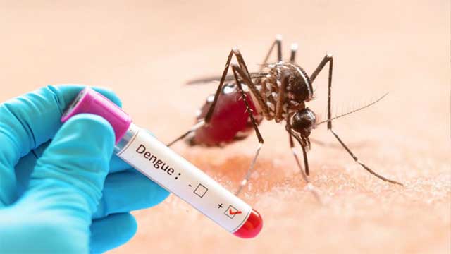 ডেঙ্গুতে আরো একজনের মৃত্যু, হাসপাতালে ২৮০
